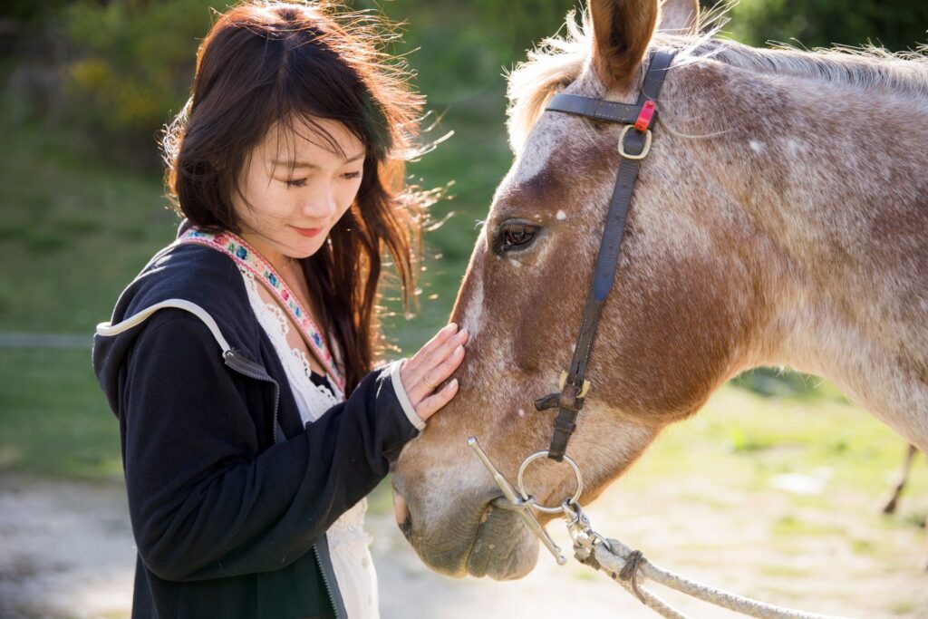 0672-cardrona-vaughan-brookfield